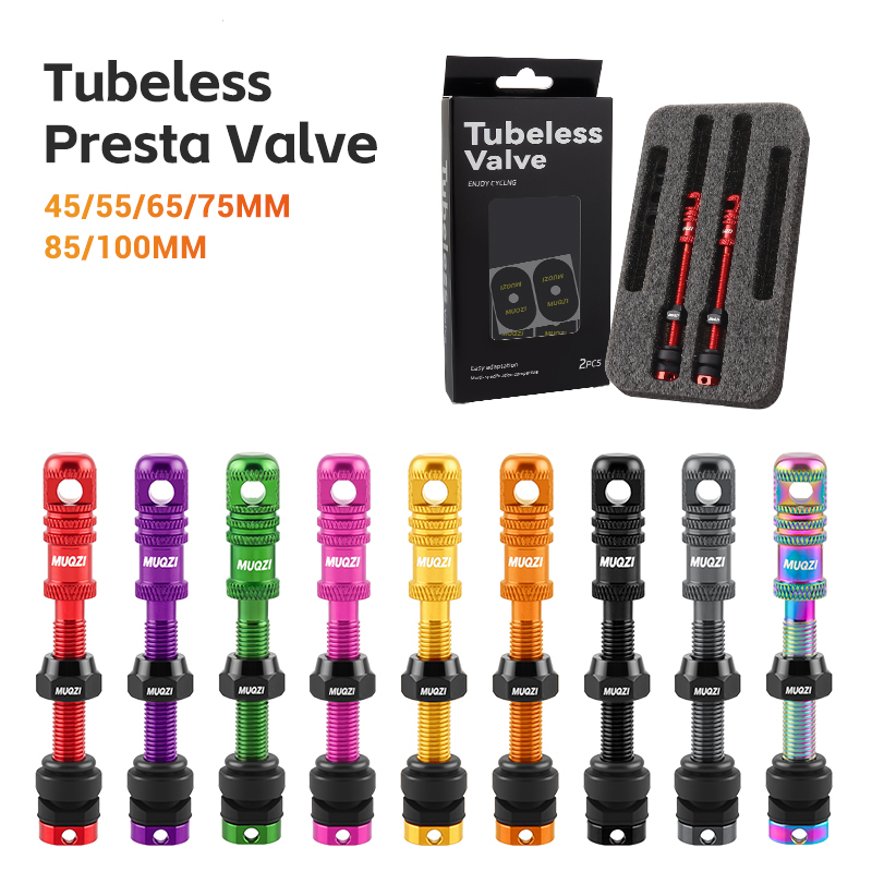 Valvola Presta Tubeless per bi - Mountain Biking In French recensione e prezzo