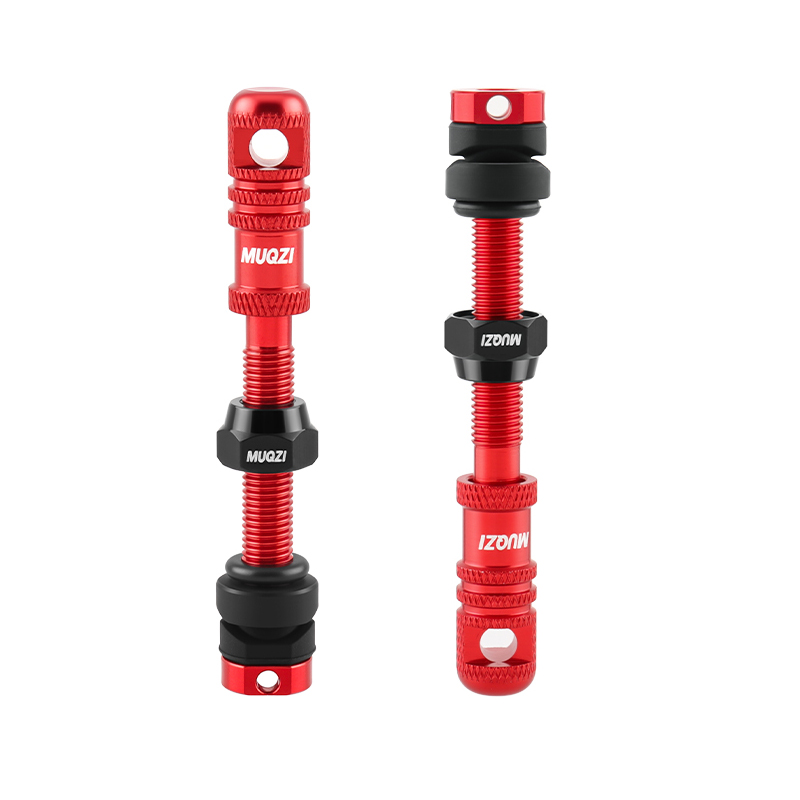 Valvola Presta Tubeless per bi - Mountain Biking In French recensione e prezzo