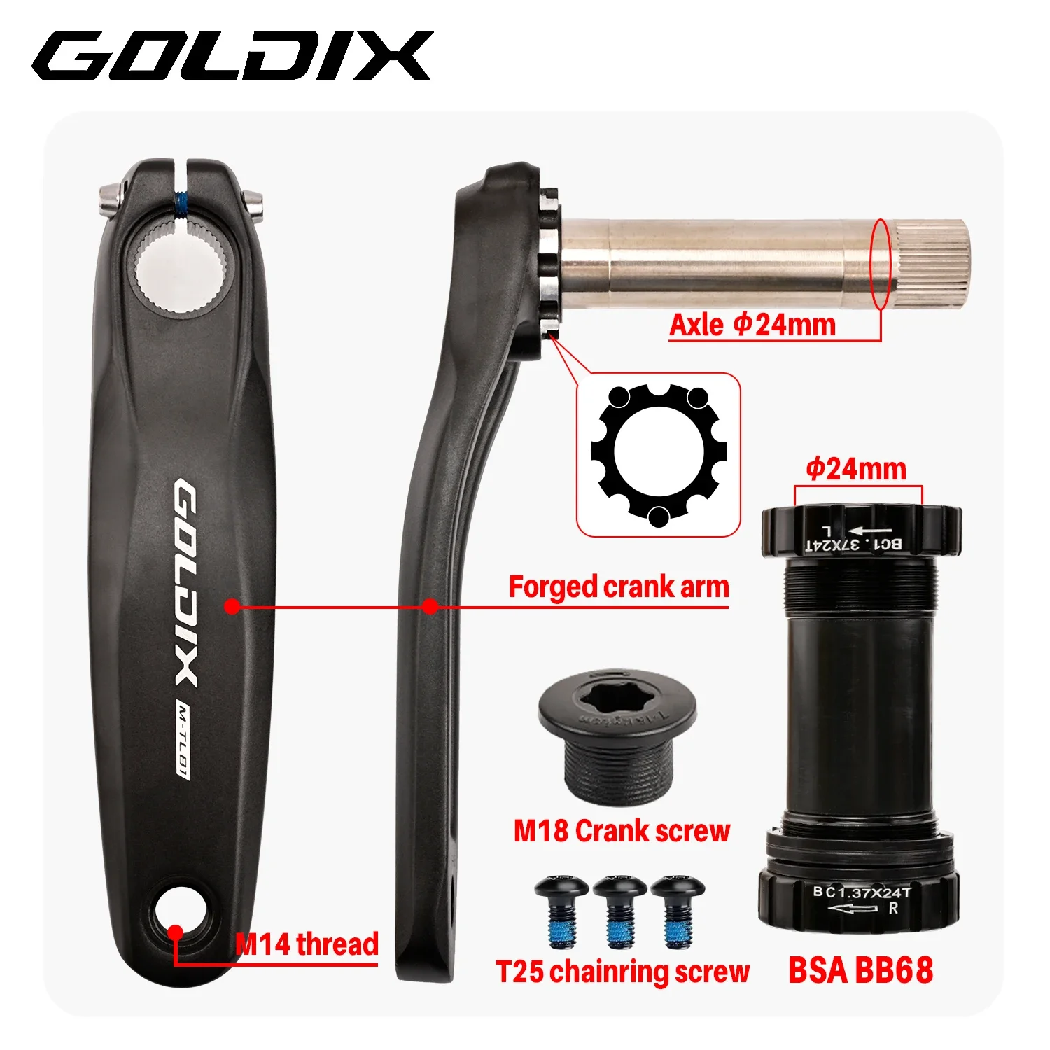Guarnitura per Bici MTB GOLDIX - Mountain Biking Xc recensione e prezzo